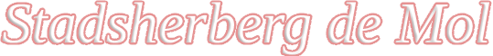 Stadsherberg de Mol
